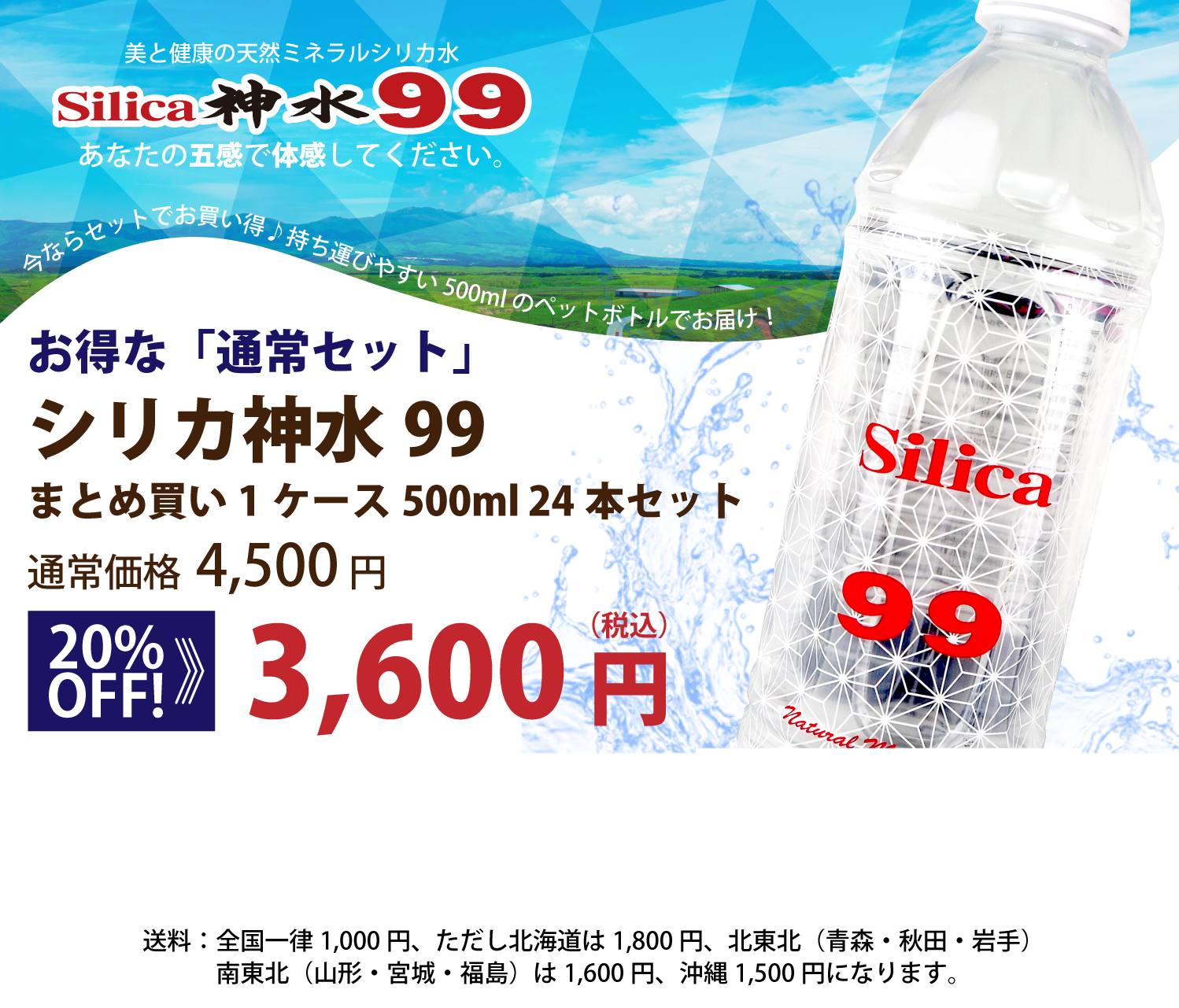 お得な通常セット