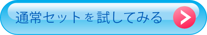 通常セットを試してみる