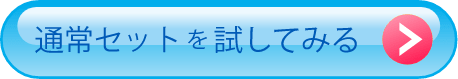 通常セットを試してみる